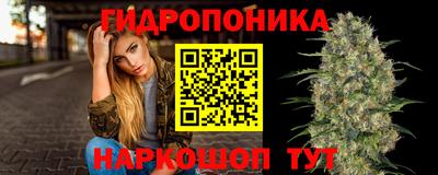 PSILOCYBIN Новозыбков